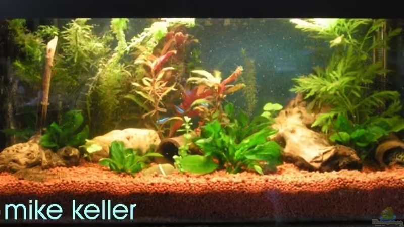 Becken am 18.07.06 Becken am 18.07.06