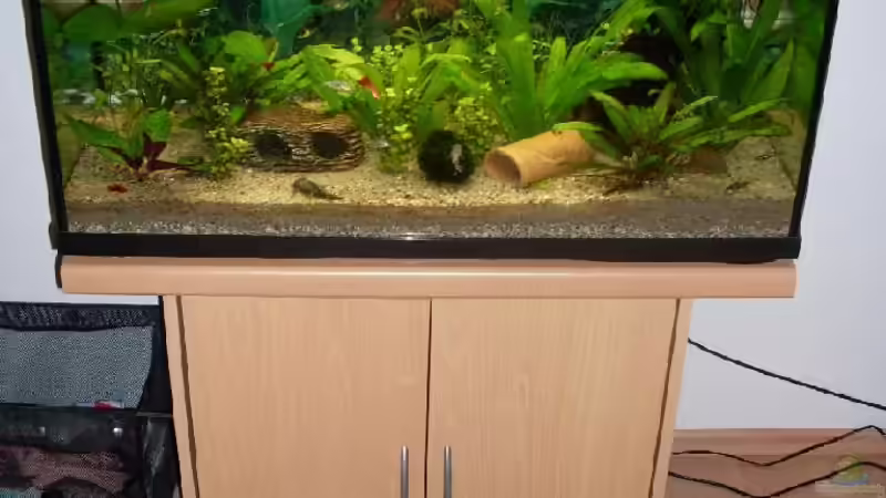 Becken auf Unterschrank Becken auf Unterschrank