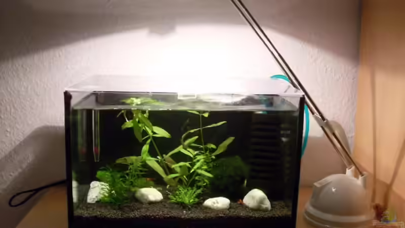 Becken auf Wohnzimmerschrank Becken auf Wohnzimmerschrank