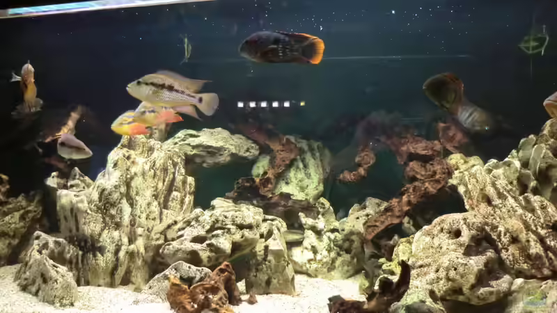 Becken Ausschnitt Becken Ausschnitt