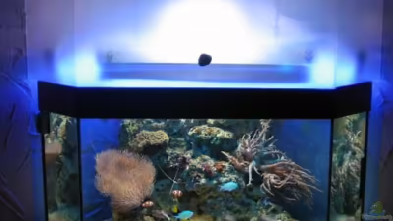 Becken bei Nacht Becken bei Nacht