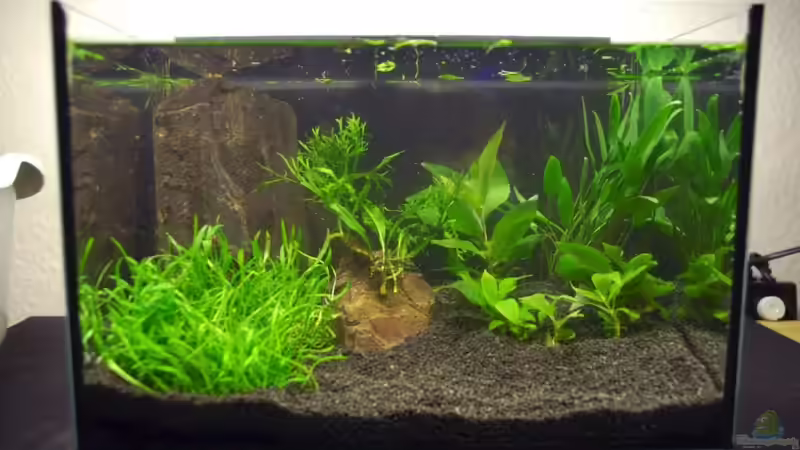 Becken beim einfahren April 2010 Becken beim einfahren April 2010