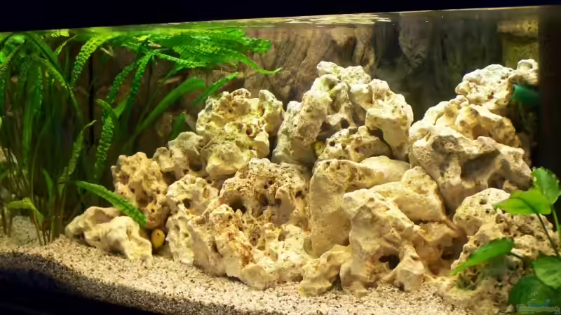 Becken beim Neuaufbau Becken beim Neuaufbau