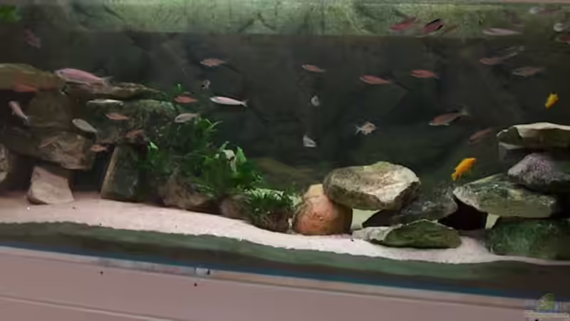 Becken Gesamtansicht Becken Gesamtansicht