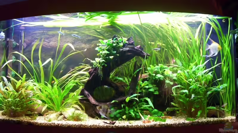 Becken heute Becken heute