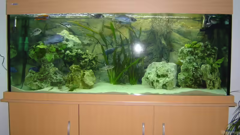 Becken im Wohnzimmer Becken im Wohnzimmer