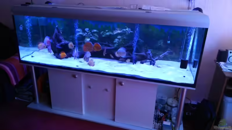 becken jetzt becken jetzt