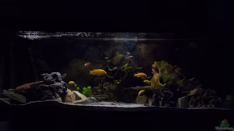 Becken Juni 2014 Becken Juni 2014