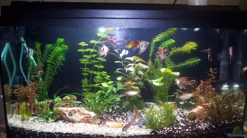 Becken Juwel 112 Becken Juwel 112