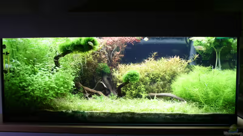 Becken März 2022 Becken März 2022