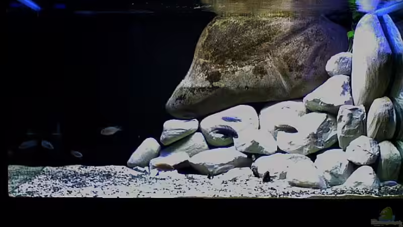 Becken mit neuen Modulen 21.05.2011 Becken mit neuen Modulen 21.05.2011