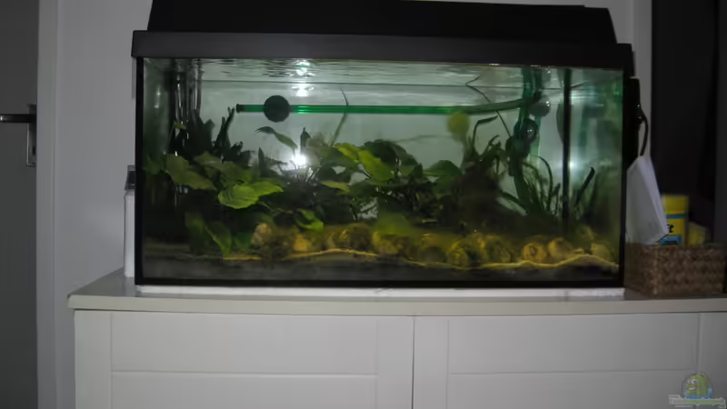 Becken mit Unterschrank Becken mit Unterschrank