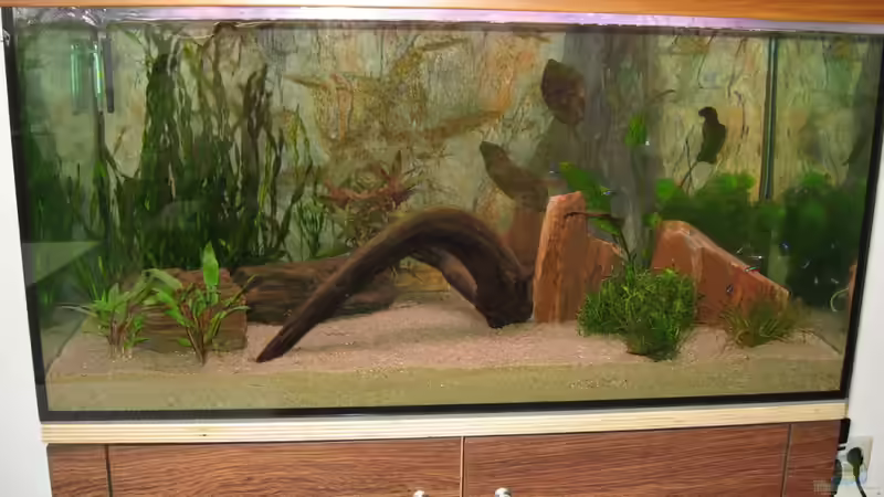 Becken nach 1 Woche Becken nach 1 Woche