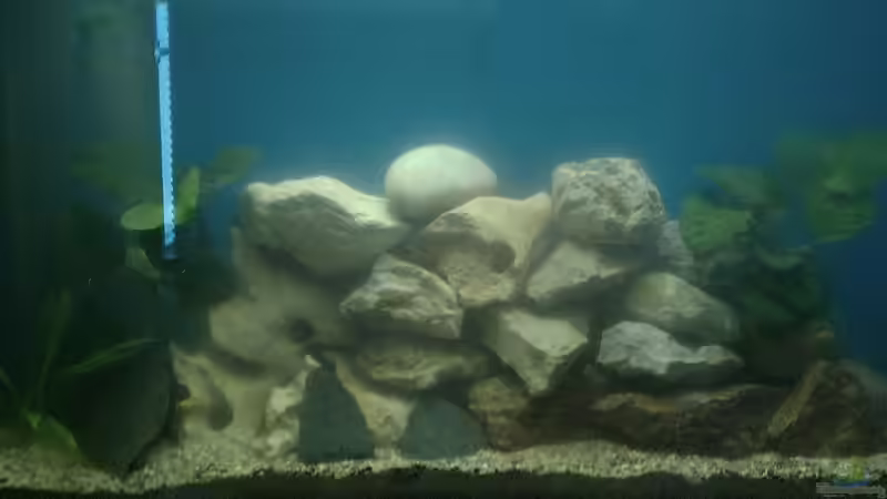 Becken nach Umgestaltung Becken nach Umgestaltung