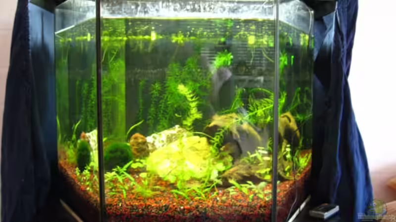 Becken Profil Becken Profil