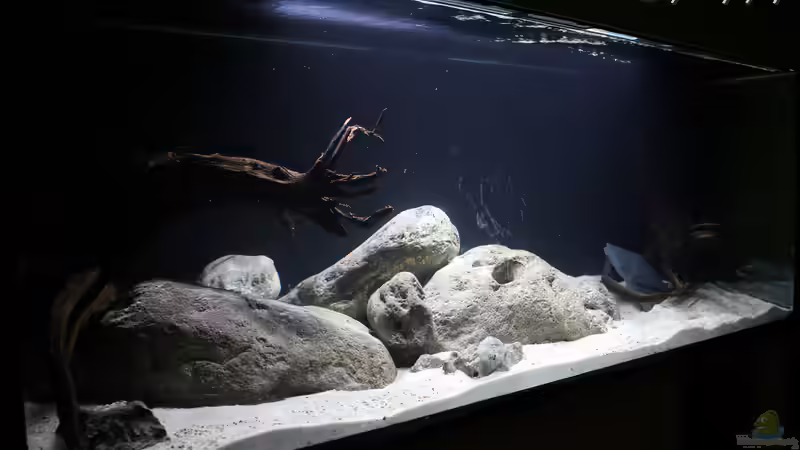 Becken (Stand 31.03.2016) Becken (Stand 31.03.2016)