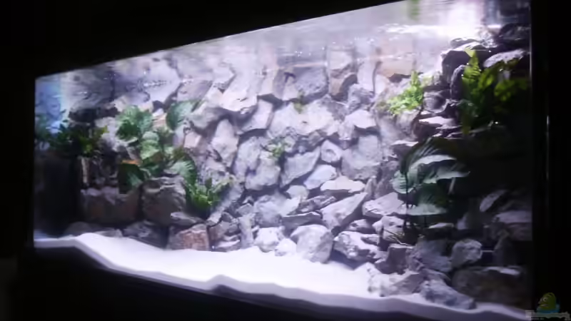 Beckenansicht 10.03.07 ohne Amazonas Beckenansicht 10.03.07 ohne Amazonas