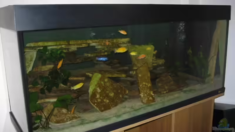 Beckenansicht mit Besatz Beckenansicht mit Besatz