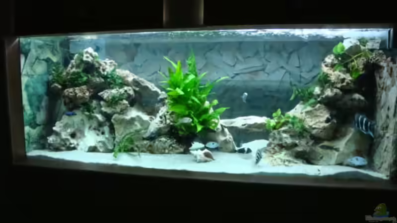 Beckengrö??e 200x67x70 Beckengrö??e 200x67x70