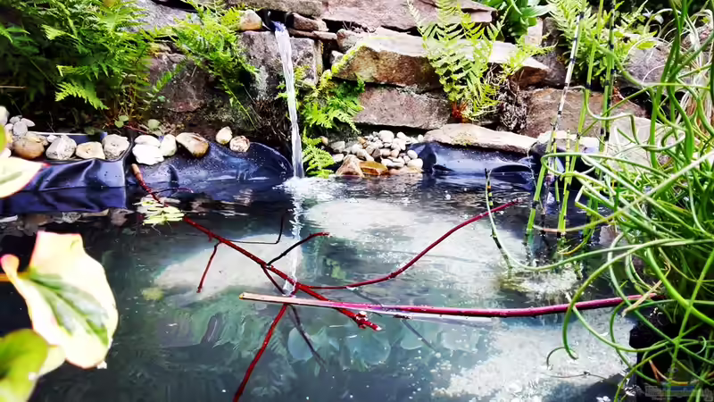 Beckenhauptbild, direkt nach der Einrichtung Beckenhauptbild, direkt nach der Einrichtung