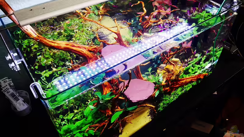 Beckenhauptbild 10.0.04.2020 Beckenhauptbild 10.0.04.2020