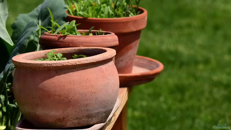 Begriffe erklärt: Was ist Terrakotta?