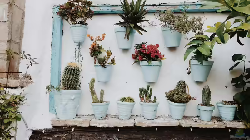 Begriffe erklärt: Was ist Vertical Gardening?