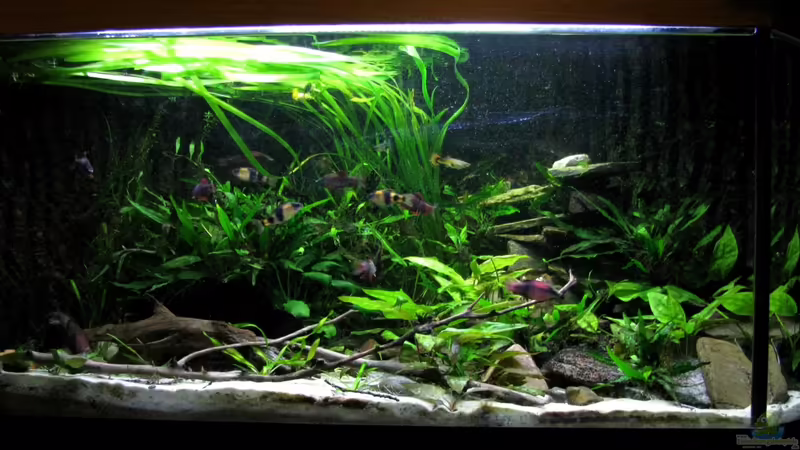 Beide LED sind an Beide LED sind an