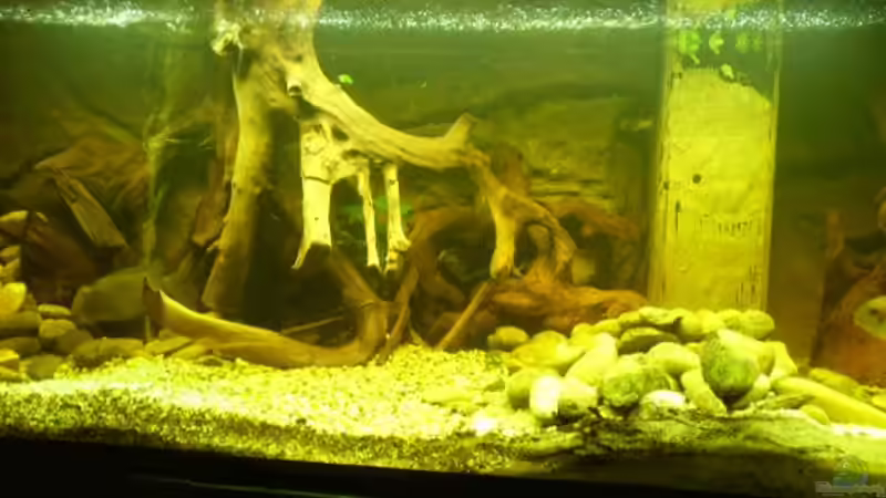 Beispiel Becken Beispiel Becken