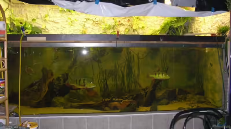 ??ber 4kw licht für einen Fototermin, das war noch viel zu wenig :-( ??ber 4kw licht für einen Fototermin, das war noch viel zu wenig :-(