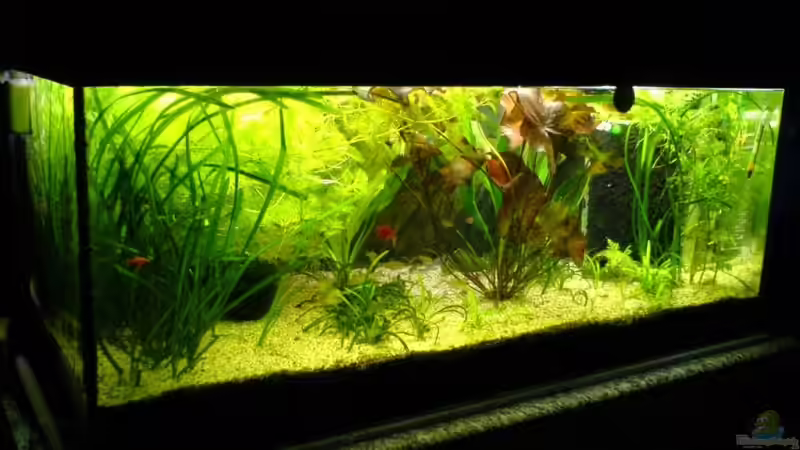 ??bergangszeit September´07 ??bergangszeit September´07