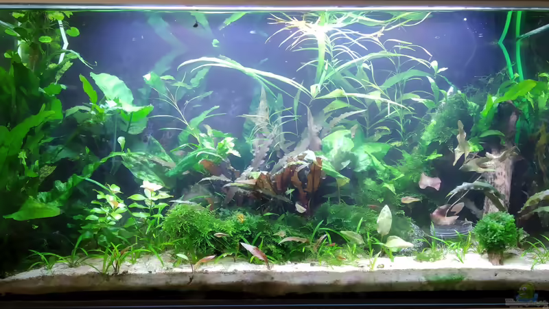 ??bersicht ??bersicht