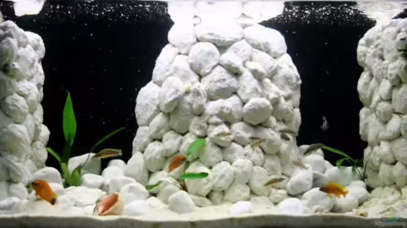 Besser als Fernsehen im 16:9 Format Besser als Fernsehen im 16:9 Format