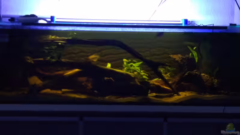 Bessere Bilder werden in kürze folgen Bessere Bilder werden in kürze folgen