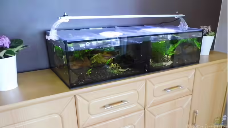 Bienenbecken Bienenbecken