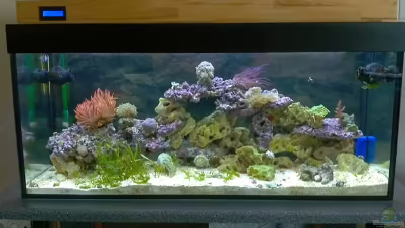 Bild 12.08.2012 Bild 12.08.2012