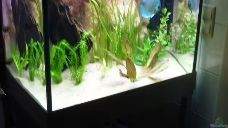 Bild vom 04.10.2008 Bild vom 04.10.2008