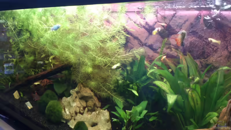 Bild vom 12.12.12 Bild vom 12.12.12