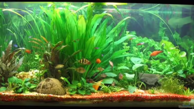 Bild vom 14.02.2006 Bild vom 14.02.2006