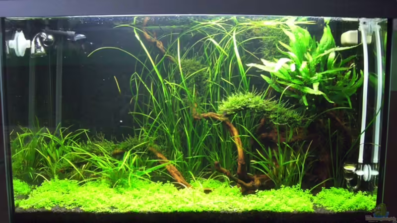 Bild von 8.7.08 Bild von 8.7.08