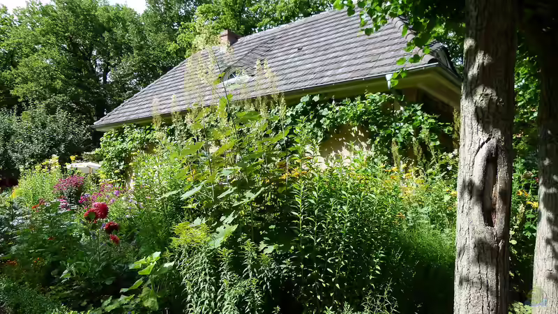 Biodiversität mit Garten und Teich verbessern