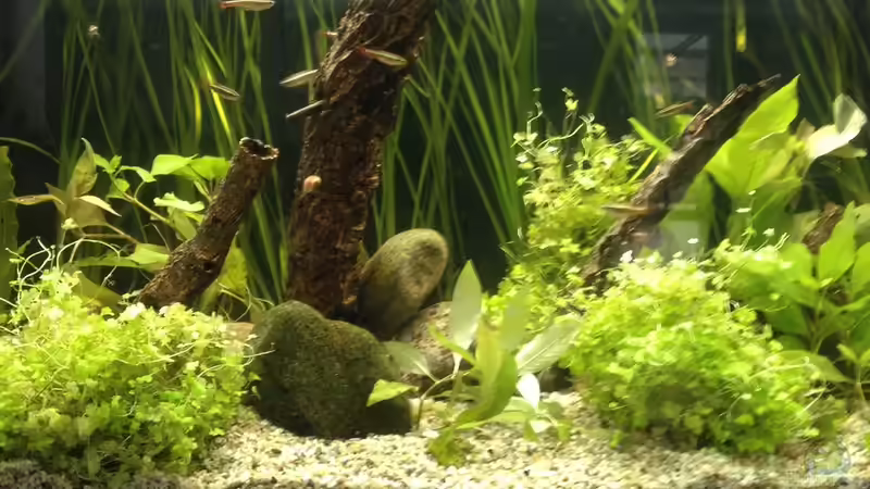 Blick von vorne 09-2017 Blick von vorne 09-2017