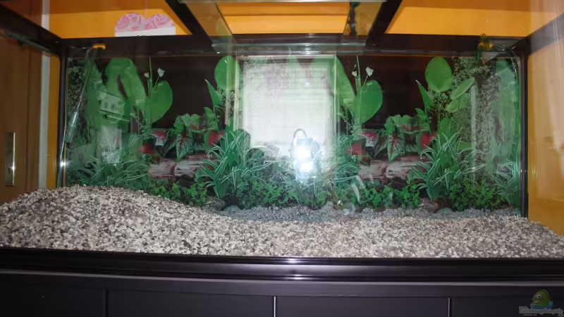 Zeolith im Aquarium verwenden (Einrichtungsbeispiele, in denen Zeolith verwendet wird)