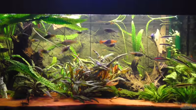 Boesi-Becken Boesi-Becken