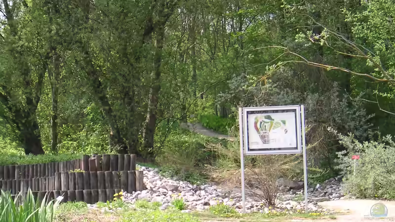 Botanischer Garten Regensburg - Ein grünes Paradies für Pflanzenliebhaber und Naturfreunde