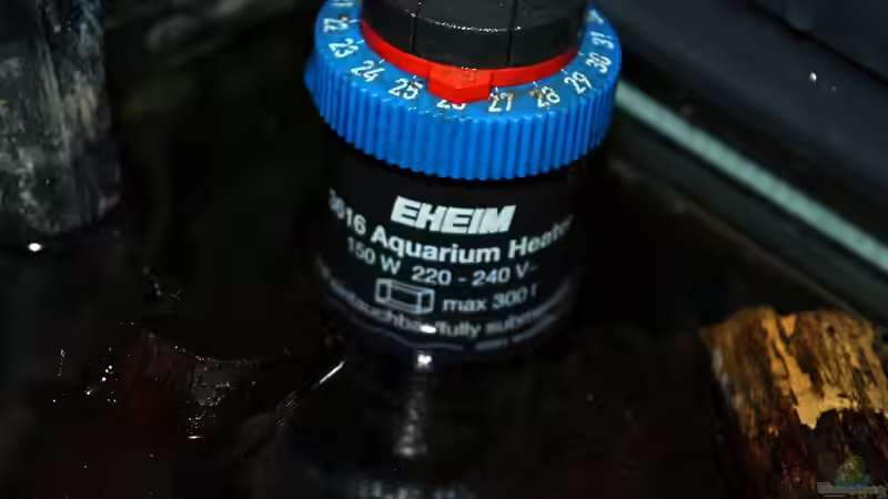 Braucht es das? Verzichtbares Zubehör für das Aquarium