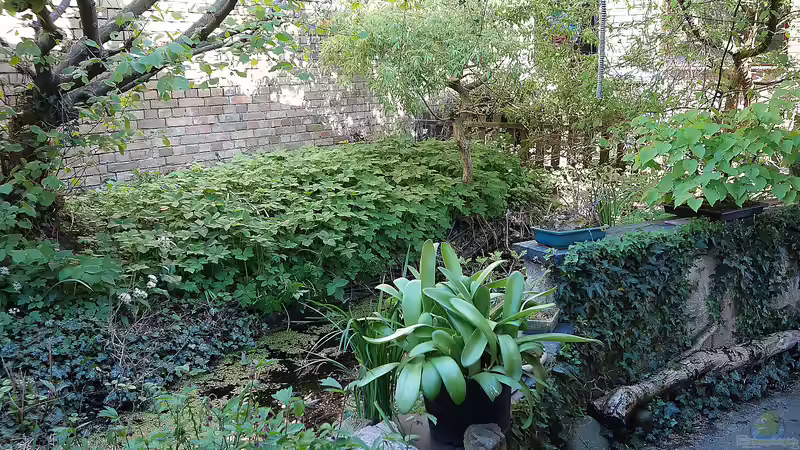 Bunte Vielfalt am Ufer: Kreative Begrünungsideen für Uferböschungen