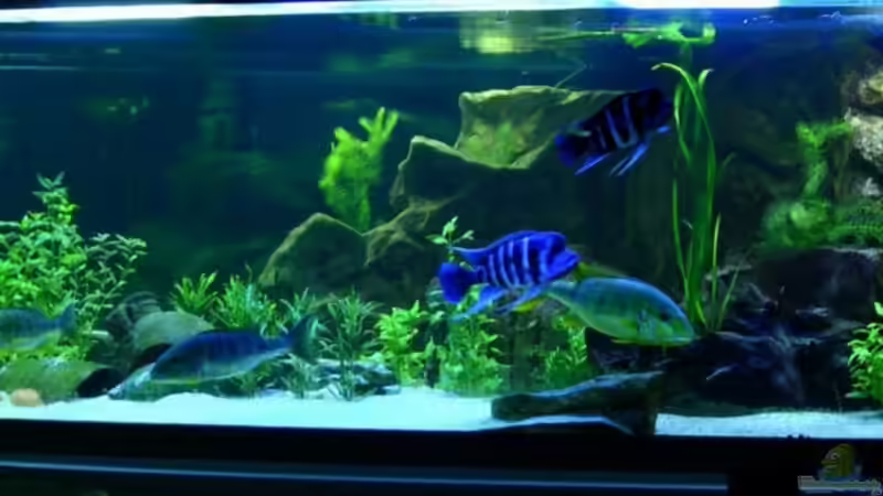 Buschen-Stahl Ansicht vom Büro Buschen-Stahl Ansicht vom Büro