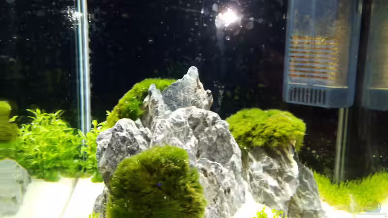 Carona Nano Carona Nano