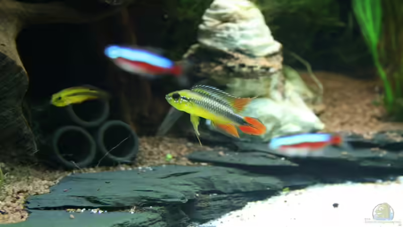 `Charly` und einer seiner Engel `Charly` und einer seiner Engel